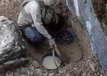 Terör örgütüne 4 vilayette operasyon (75 piyade tüfeği ele geçirildi)