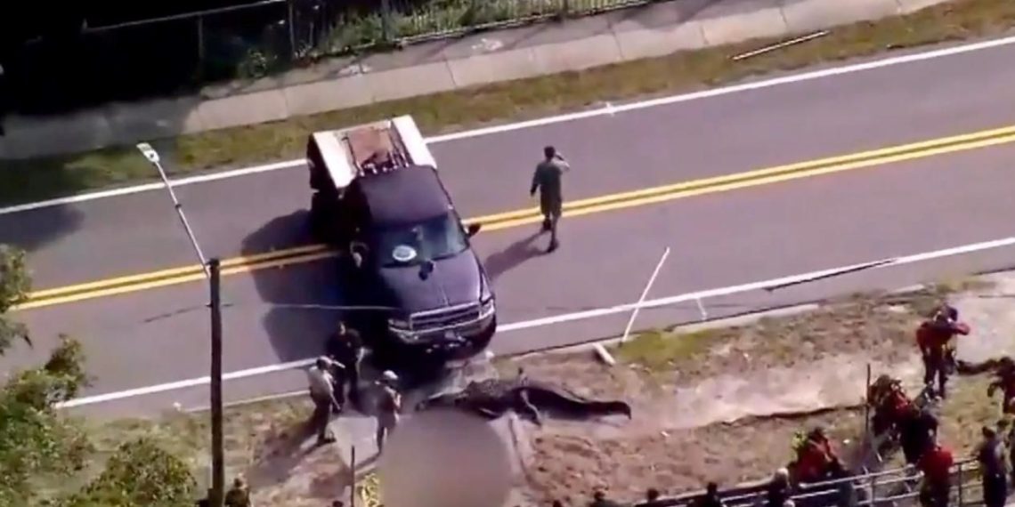 Timsah ağzında insan cesediyle sokaklarda dolaştı