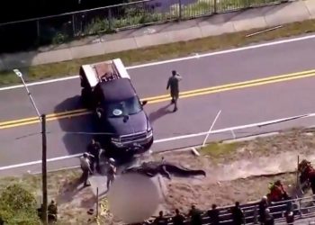 Timsah ağzında insan cesediyle sokaklarda dolaştı