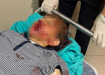 Torundan babaanne ile dedesine demir kürekli atak