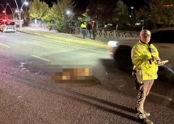 Tunceli’de 2 araba yola inen domuz sürüsüne daldı