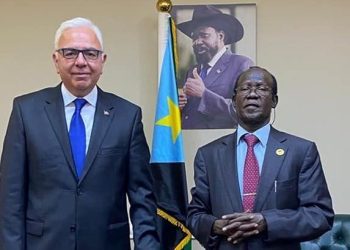 Türkiye’den Güney Sudan Barış Süreci’ne takviye