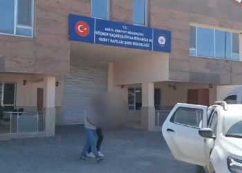 Van’da göçmen kaçakçılığı operasyonu