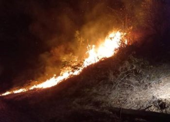 Yangın tren yoluna sıçradı: Milletlerarası lojistik tren seferi durdu