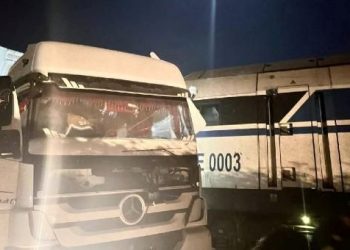 Yük treni hemzemin geçitte TIR’a çarptı: Şoför yaralandı, 50 koyun öldü