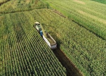 Ziraî destekleme ödemeleri ne vakit yatacak? Bakan Yumaklı açıkladı