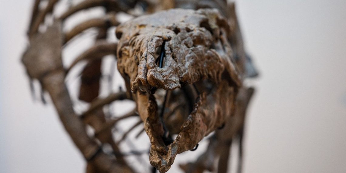 150 milyon yıllık: 930 bin euroya satıldı