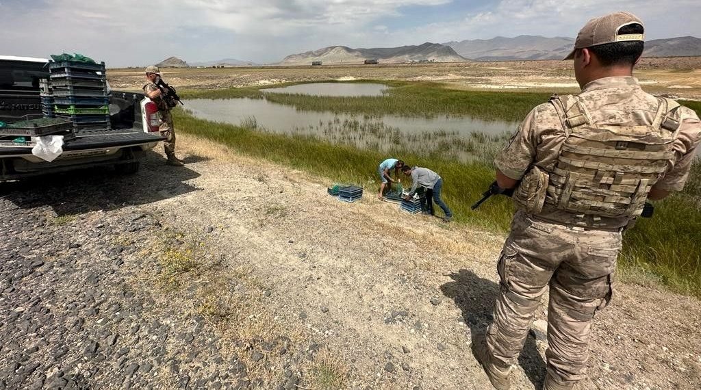 Ağrı’da kurbağa avcılarına rekor ceza
