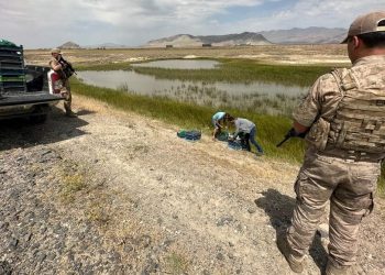 Ağrı’da kurbağa avcılarına rekor ceza