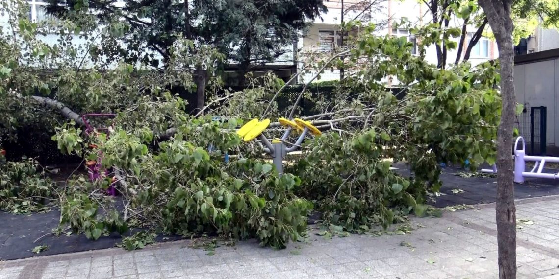 Avcılar’da parkta oynayan 3 çocuğun üzerine ağaç devrildi