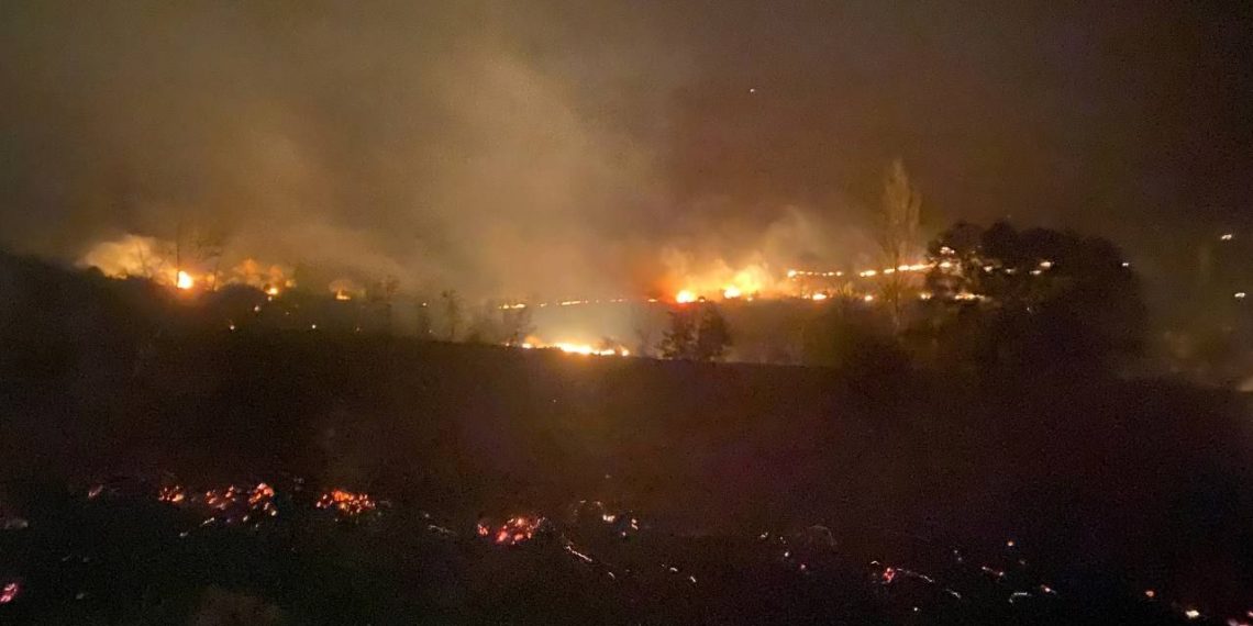 Balıkesir’de orman yangını