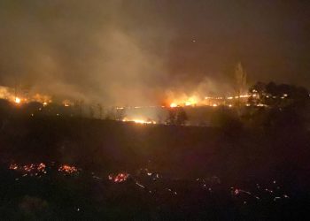 Balıkesir’de orman yangını