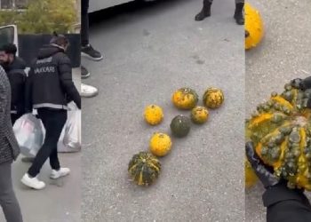 Bal kabakları içinde 14 kilo 100 gram sentetik uyuşturucu ele geçirildi