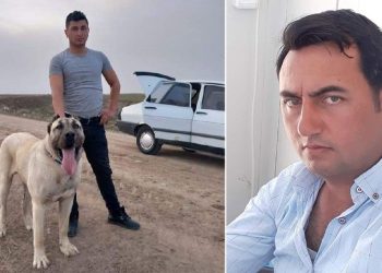 “Benim köpeğim daha iyi” tartışması kanlı bitti