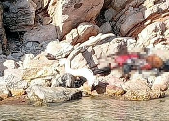 Bodrum’da can yelekli ceset bulundu