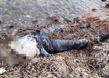 Bodrum’da kıyıda vücudunun üst kısmı olmayan bayan cesedi bulundu