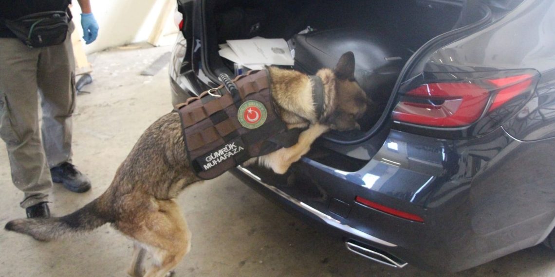 Büyükelçilik aracında kokain yakalandı (Kapıkule’den Türkiye’ye girmek istedi)