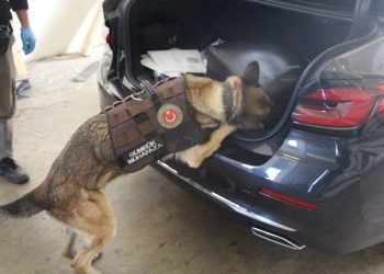 Büyükelçilik aracında kokain yakalandı (Kapıkule’den Türkiye’ye girmek istedi)