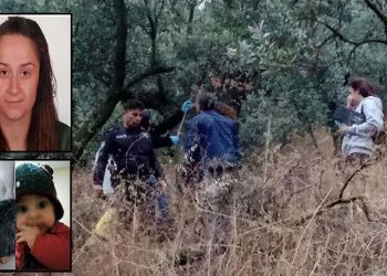 Cesedi zeytinlikte bulunan Nevrigül Alan (Şirin) öldürüldü mü? Nevrigül Alan olayının detayları