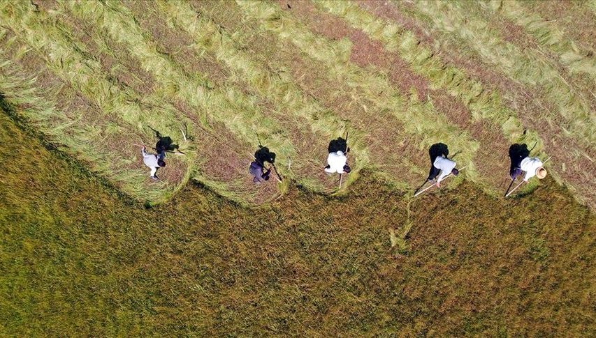 ÇKS’ye başvurmayan çiftçiler için son tarih 2 Ocak: Çiftçi Kayıt Sistemi (ÇKS) başvurusu nasıl yapılır?