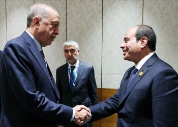 Cumhurbaşkanı Erdoğan, Sisi ile görüştü