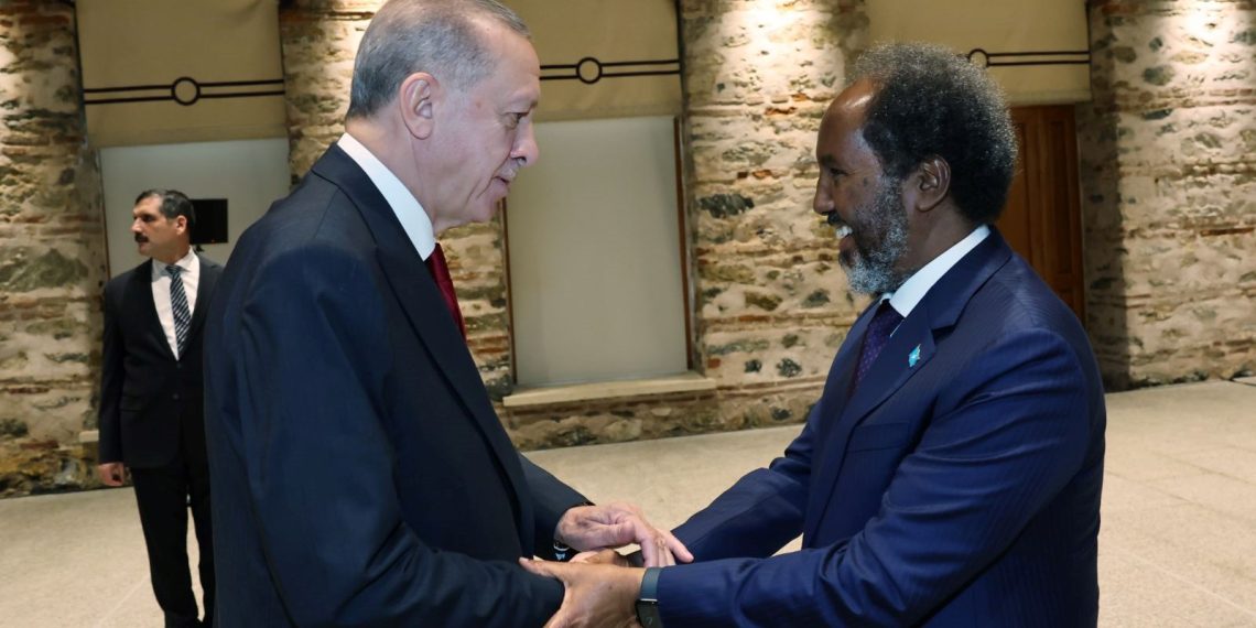 Cumhurbaşkanı Erdoğan, Somali Cumhurbaşkanı ile görüştü