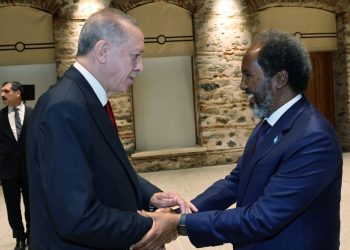 Cumhurbaşkanı Erdoğan, Somali Cumhurbaşkanı ile görüştü