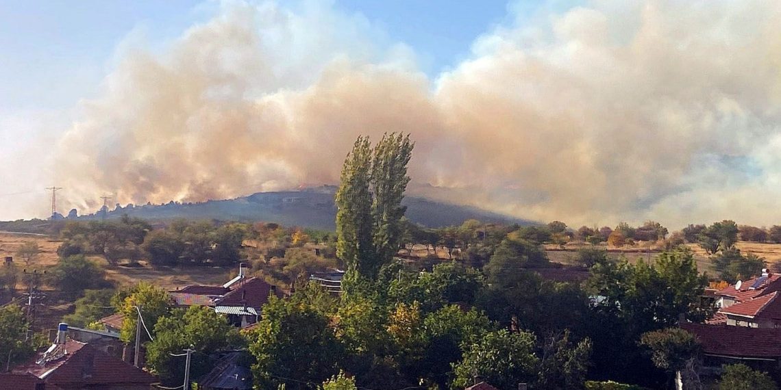 Eskişehir’de orman yangı