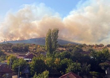Eskişehir’de orman yangı