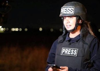 Fulya Öztürk kimdir? Gazeteci Fulya Öztürk kaç yaşında, hangi misyonlarda bulundu?