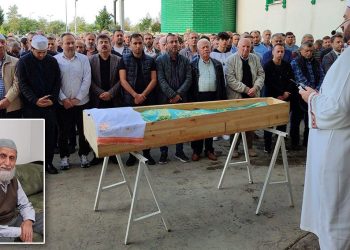 Giresun’da arının soktuğu kişi hayatını kaybetti