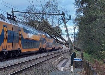Hollanda’da Ciaran Fırtınası: Üzerine ağaç devrilen 1 kişi öldü