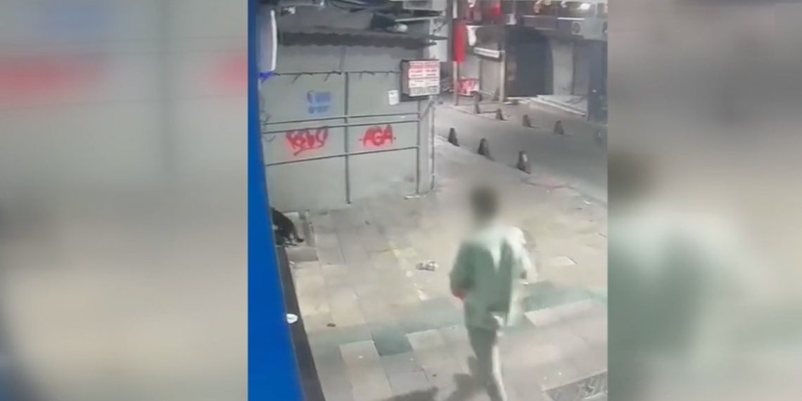 İstanbul’da poşete koyduğu kediyi tekmeleyerek öldüren kuşkulu tutuklandı