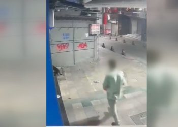 İstanbul’da poşete koyduğu kediyi tekmeleyerek öldüren kuşkulu tutuklandı