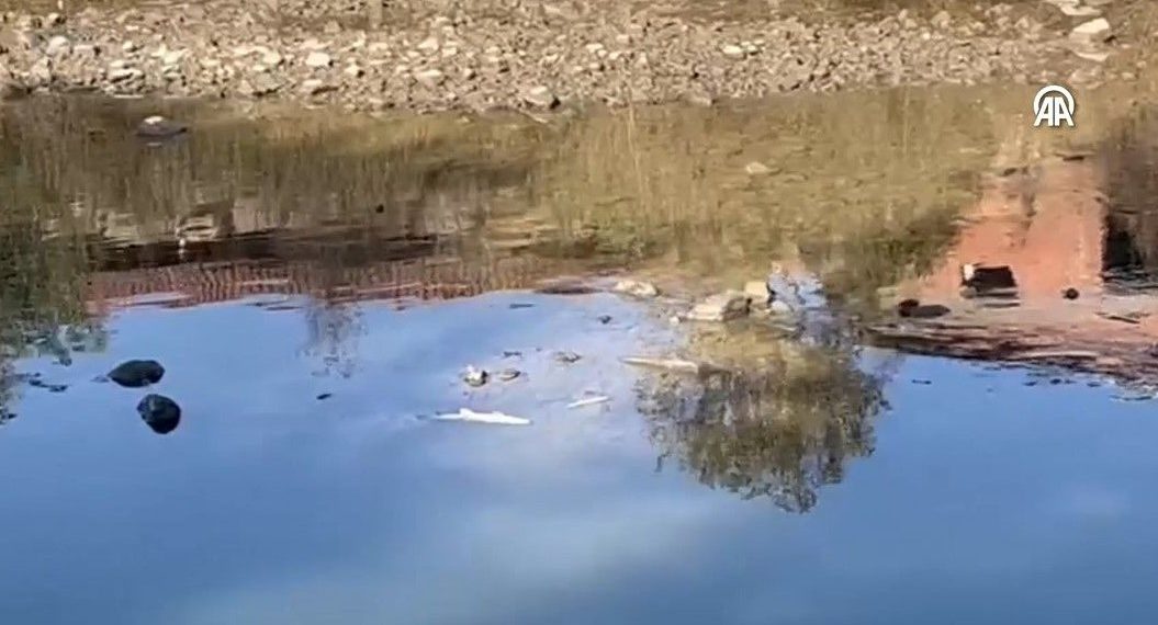 Kocabaş Çayı’ndaki balık vefatlarına inceleme