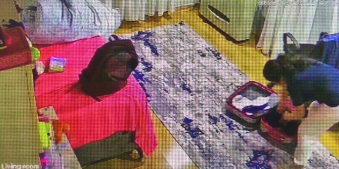 Konut sahibi, kiracısını soydu