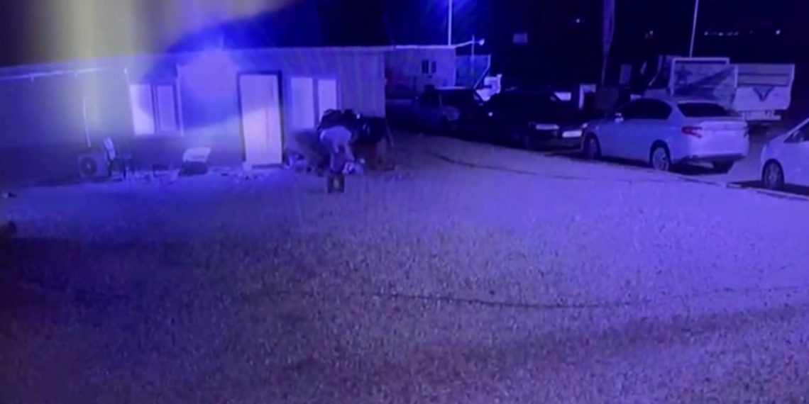 Köpeğini 10 yerinden bıçakladı