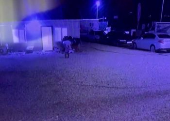 Köpeğini 10 yerinden bıçakladı