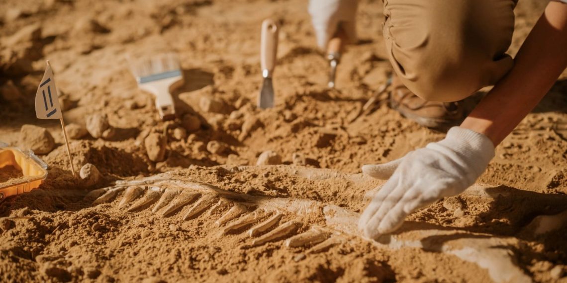 Kültür ve Turizm Bakanı Mehmet Nuri Ersoy: Bu yıl hafriyatlar için 115 milyon liralık finansman takviyesi sağladık