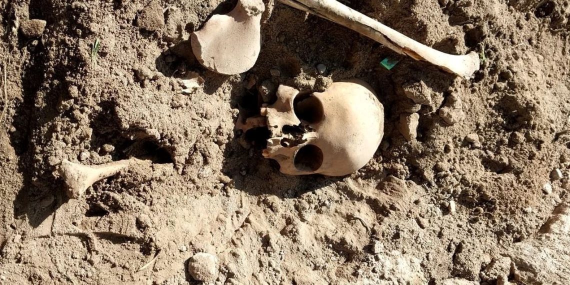 Okul bahçesinde insan kemikleri bulundu