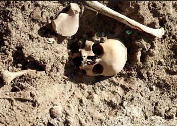 Okul bahçesinde insan kemikleri bulundu