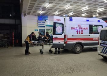 Ormandan topladıkları mantar iki aileden 8 kişiyi zehirledi