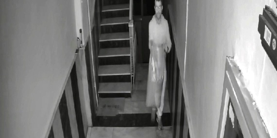 Sokak kedileri için alınan mamayı çaldı