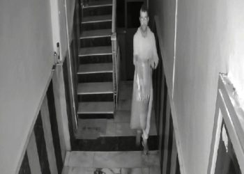 Sokak kedileri için alınan mamayı çaldı