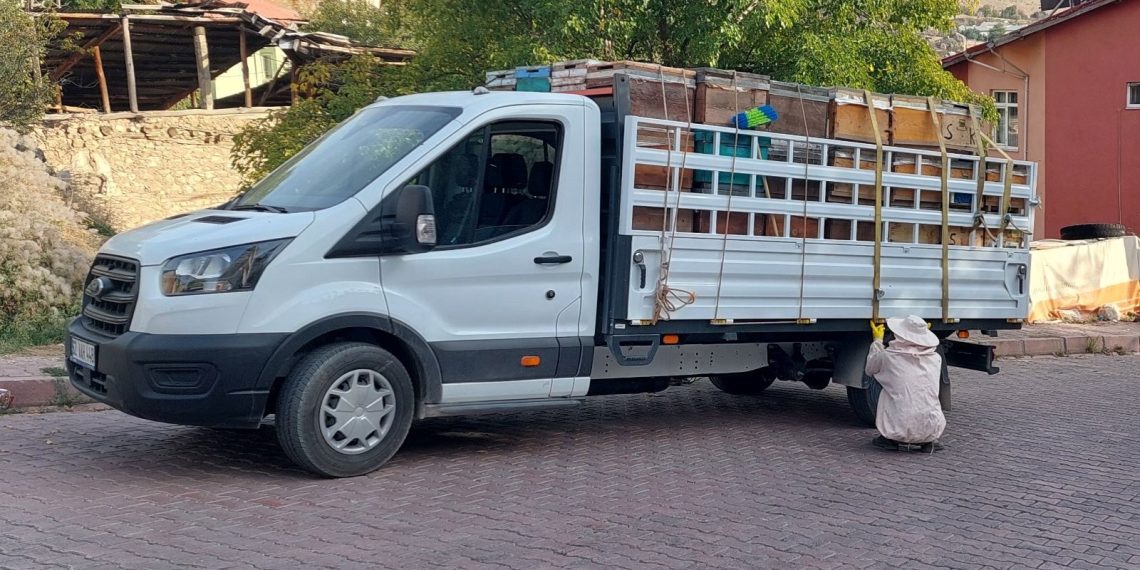 Tunceli’de arılar 3 kişiyi hastanelik etti