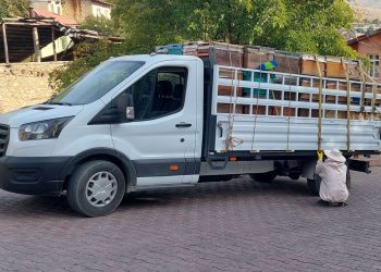 Tunceli’de arılar 3 kişiyi hastanelik etti