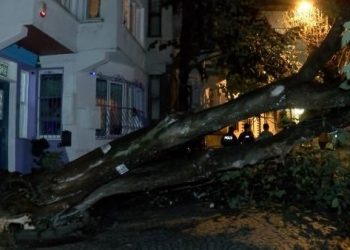 Üsküdar’da çok yağış nedeniyle meskenin bahçe duvarına ağaç devrildi