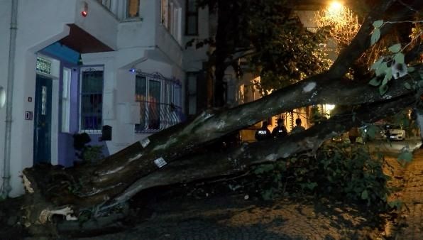 Üsküdar’da çok yağış nedeniyle meskenin bahçe duvarına ağaç devrildi