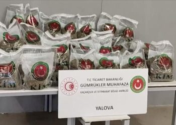Yalova’da 80 kilo esrar ele geçirildi