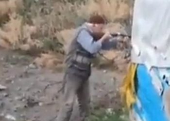 Yolun ortasında 2 köpeği vurdu